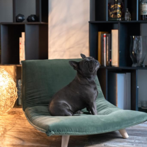 boden couchage de luxe pour chien et chat taylord