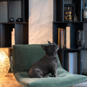 boden couchage de luxe pour chien et chat taylord