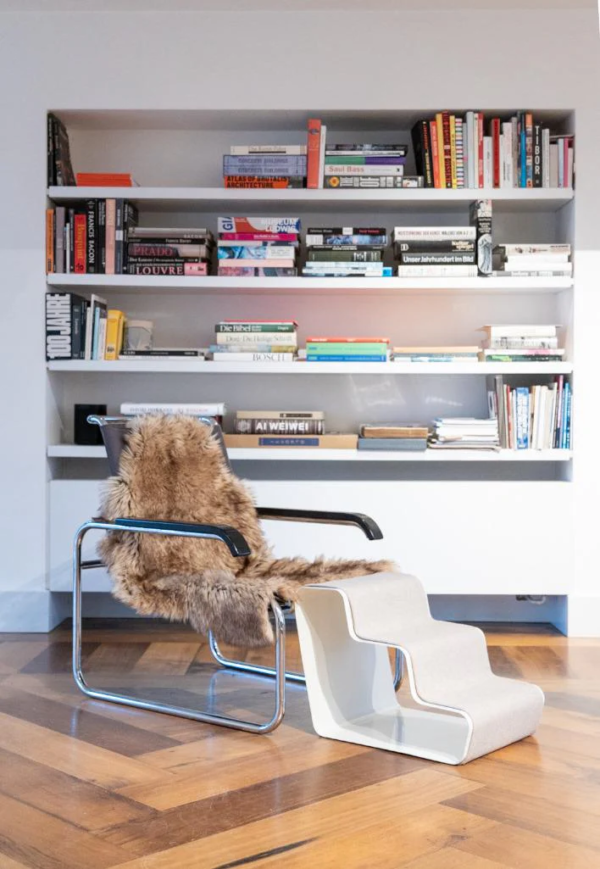 RAMPE DESIGN POUR CHIEN ET CHAT DOGBEAM