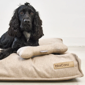 coussin design pour chien calma miacara