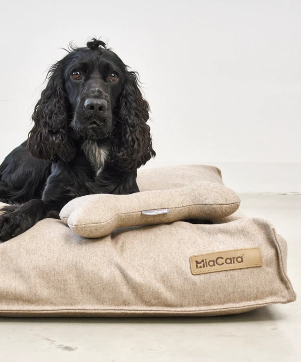 coussin design pour chien calma miacara