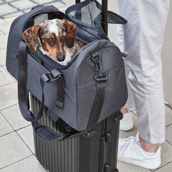 sac transport chien chat avion train voiture volata