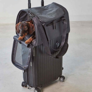 sac transport chien chat avion train voiture volata