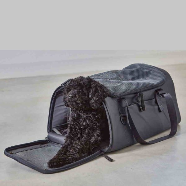 sac transport chien chat avion train voiture volata