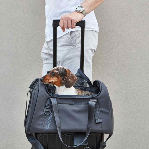 sac transport chien chat avion train voiture volata