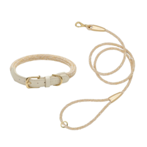 laisse collier by scout design chien et chat