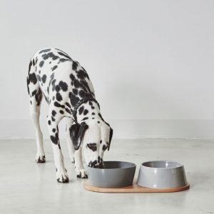 Gamelle en porcelaine pour chien design doppio
