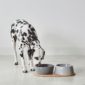Gamelle en porcelaine pour chien design doppio