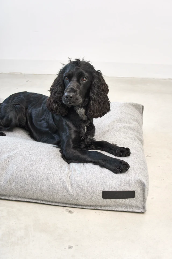 coussin design pour chien calma miacara