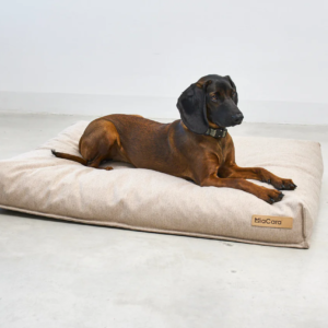 coussin design pour chien calma miacara