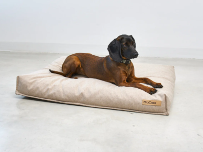 coussin design pour chien calma miacara