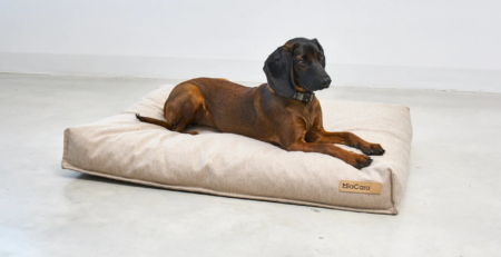 coussin design pour chien calma miacara