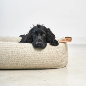 supremo panier de luxe pour chien mia cara