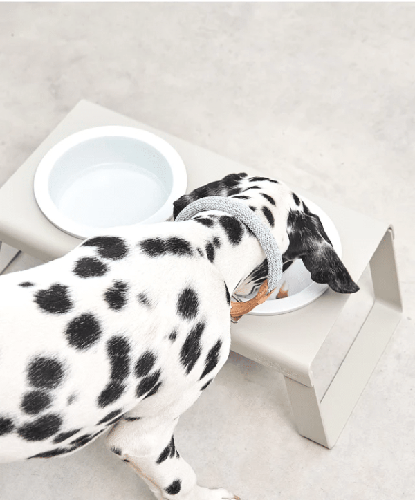 Gamelle porcelaine design chien mangeoire miacara greige