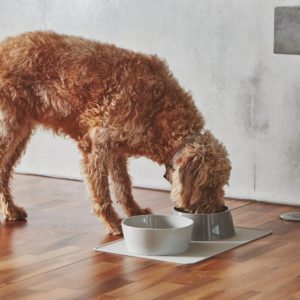 Gamelle pour chien haut de gamme DOPPIO
