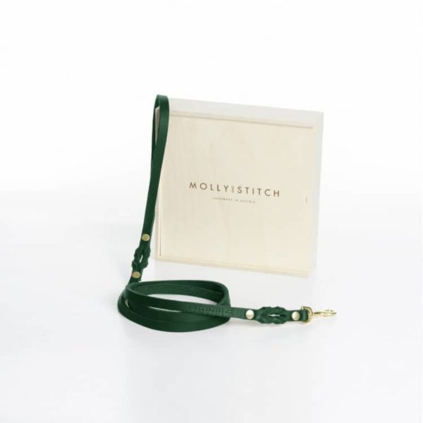 laisse design en cuir pour chien butter
