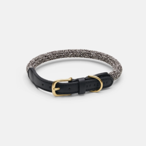 laisse collier by scout design chien et chat
