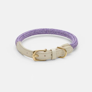 laisse collier by scout design chien et chat