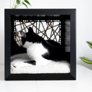 couchage pour chat design donarturo (1)