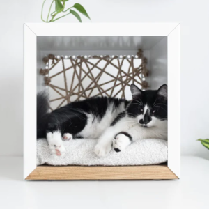 couchage pour chat design donarturo (1)