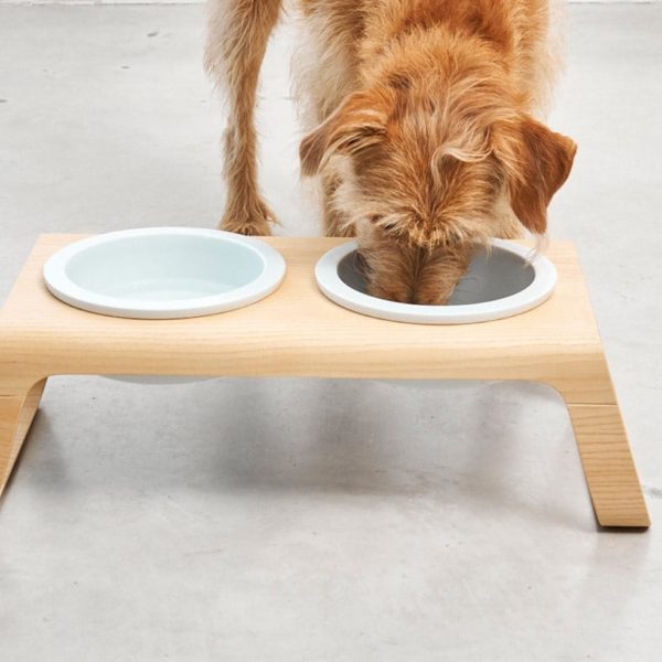 DESCO NATURAL PORCELAINE GAMELLE CHIEN EN BOIS DESIGN MIACARA