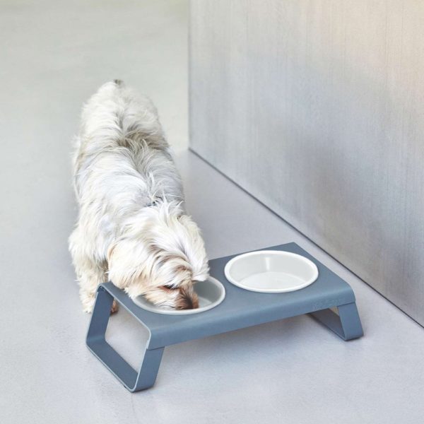 desco gamelle design chien chat porcelaine