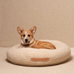 fulvio coussin tissu bouclé design chien