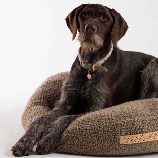 fulvio coussin tissu bouclé design chien