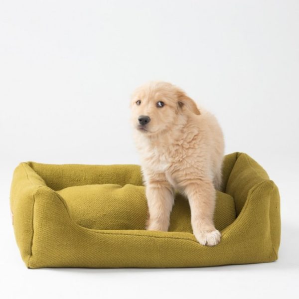 henri lit couchage jute naturel chien design