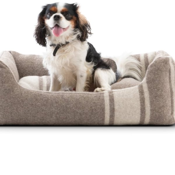 henri lit couchage laine recyclée naturel chien design