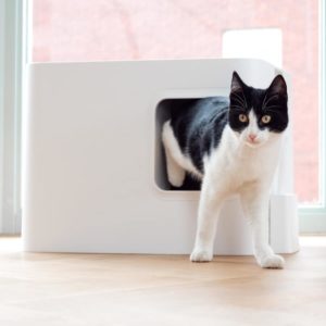 Maison de toilette de luxe pour chat - Hoopo – Image 6