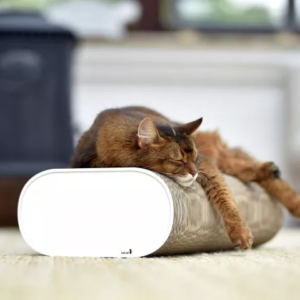 la banquette griffoir design carton ondulé chat
