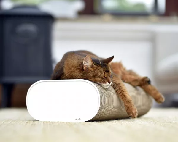 la banquette griffoir design carton ondulé chat (2) la banquette griffoir design carton ondulé chat