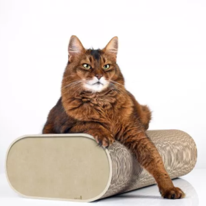 la banquette griffoir design carton ondulé chat