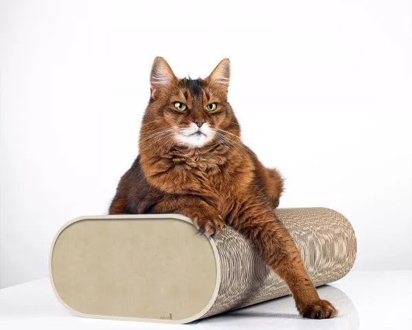 la banquette griffoir design carton ondulé chat