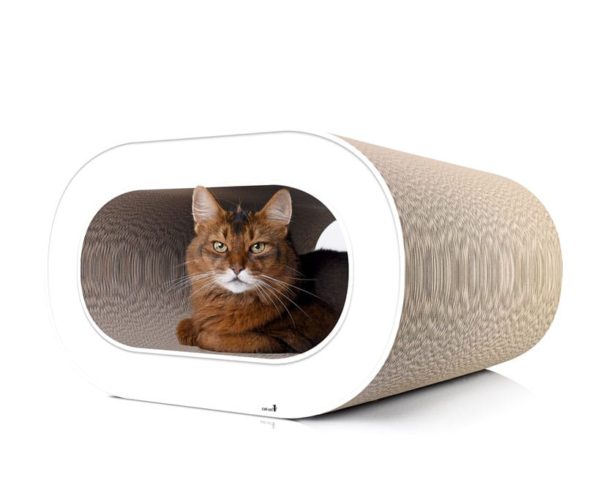 Griffoir pour chat design tronc