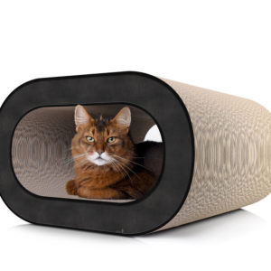 Griffoir pour chat design tronc