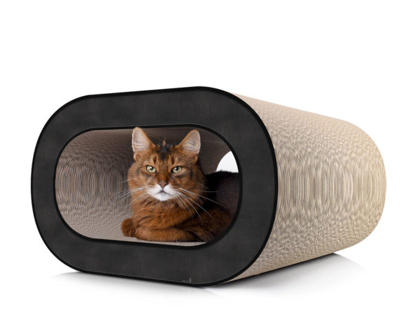 Griffoir pour chat design tronc