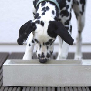 TROGOLO - Gamelle d'extérieur pour chien en béton – Image 3