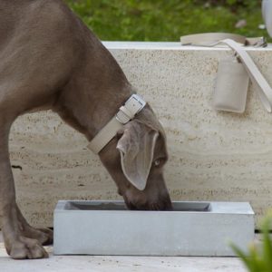 TROGOLO - Gamelle d'extérieur pour chien en béton – Image 4