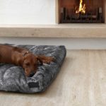 felpa chien coussin fausse fourrure miacara