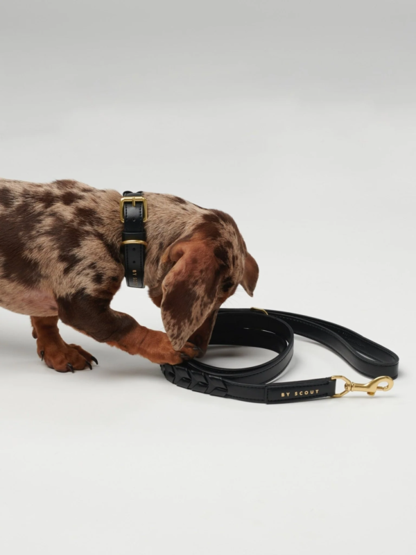 Laisse ajustable by scout mela capista chien design cuir vegan