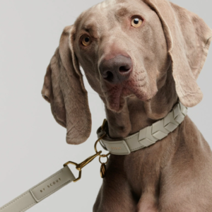 Laisse ajustable by scout mela capista chien design cuir vegan