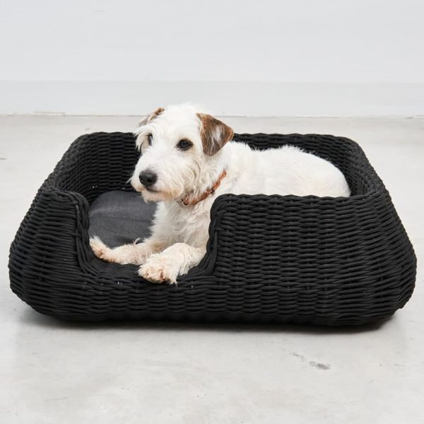 panier corde design chien interieur exterieur