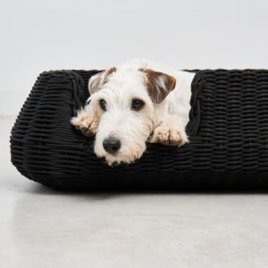 panier corde design chien interieur exterieur