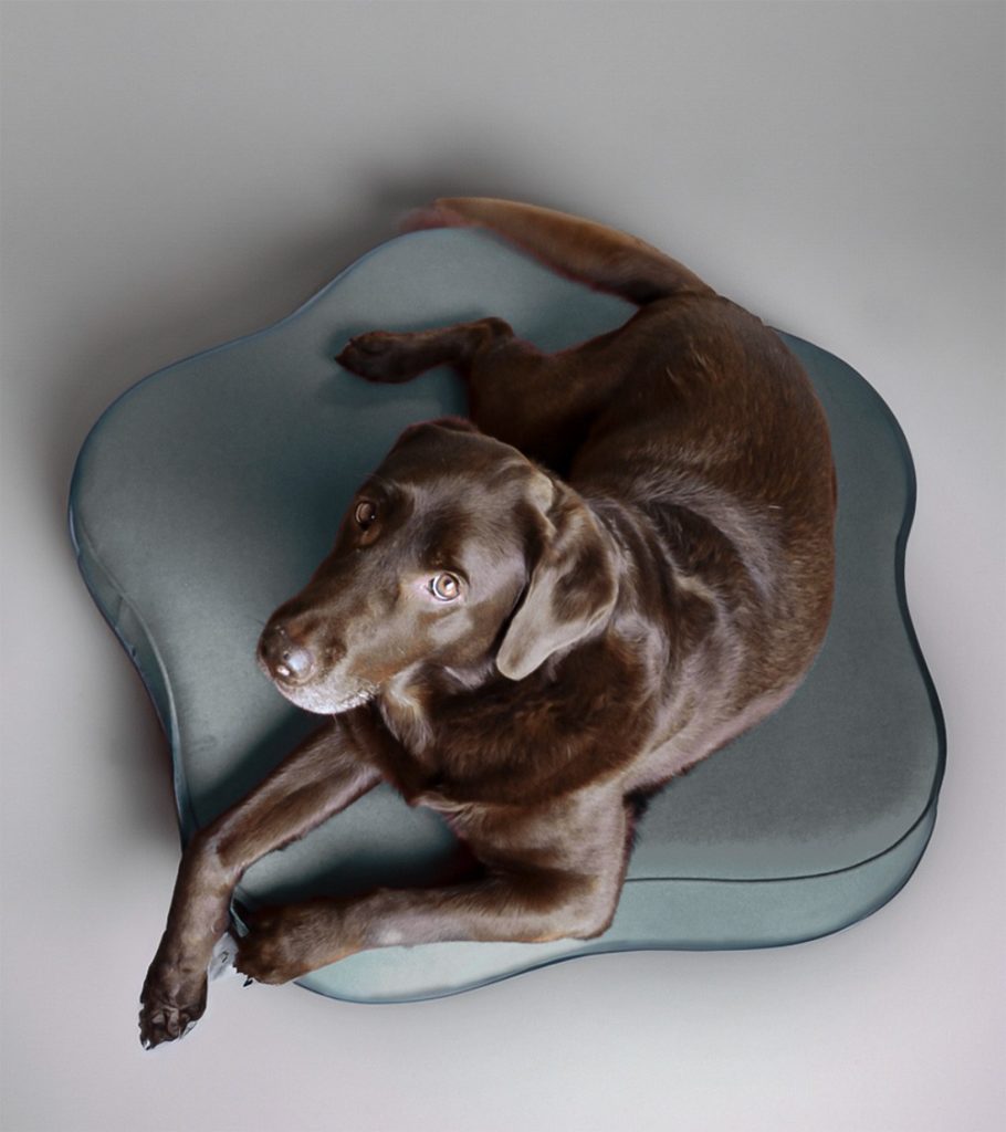 Coussin de luxe pour chien ou chat - HARMONY
