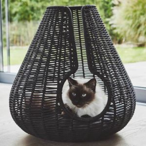 Panier osier chat Perla