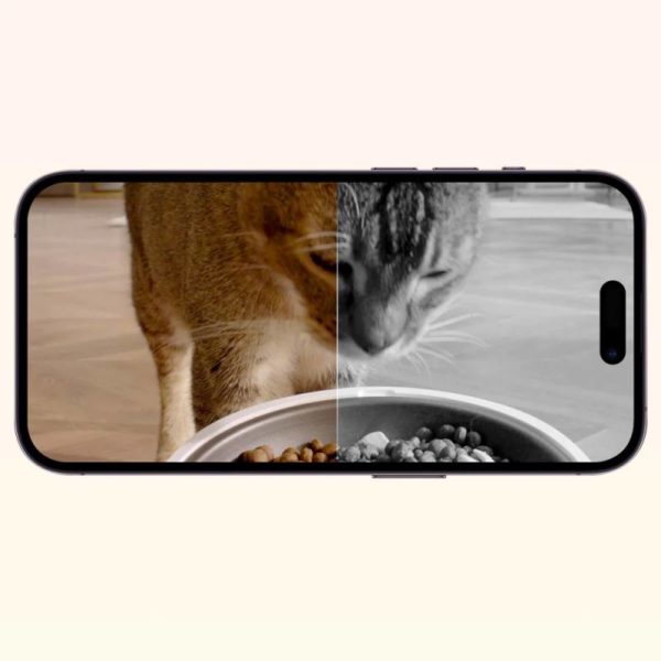 Distributeur de croquettes connecté avec caméra - PetKit