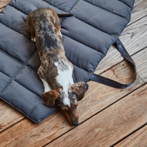 strada tapis design voyage