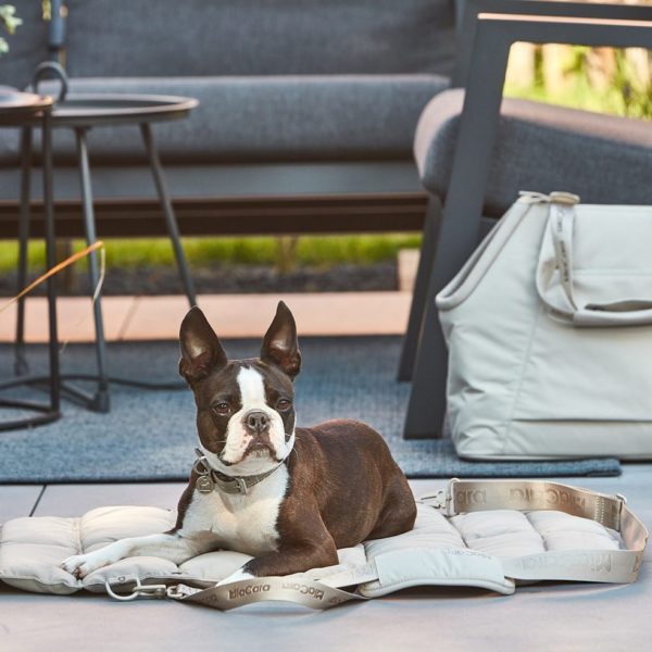 strada tapis design voyage